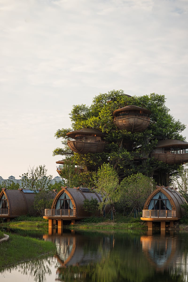 国际认可！武汉城建开元森泊度假乐园斩获2025伦敦设计奖铂金奖